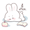 Carrot : Lovely rabbit