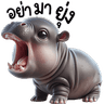 MooDoong adorable baby hippo