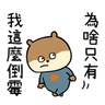 Gloomy "KONEZUMI" Taiwan Version