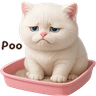 White Cat So Cute (ENG)